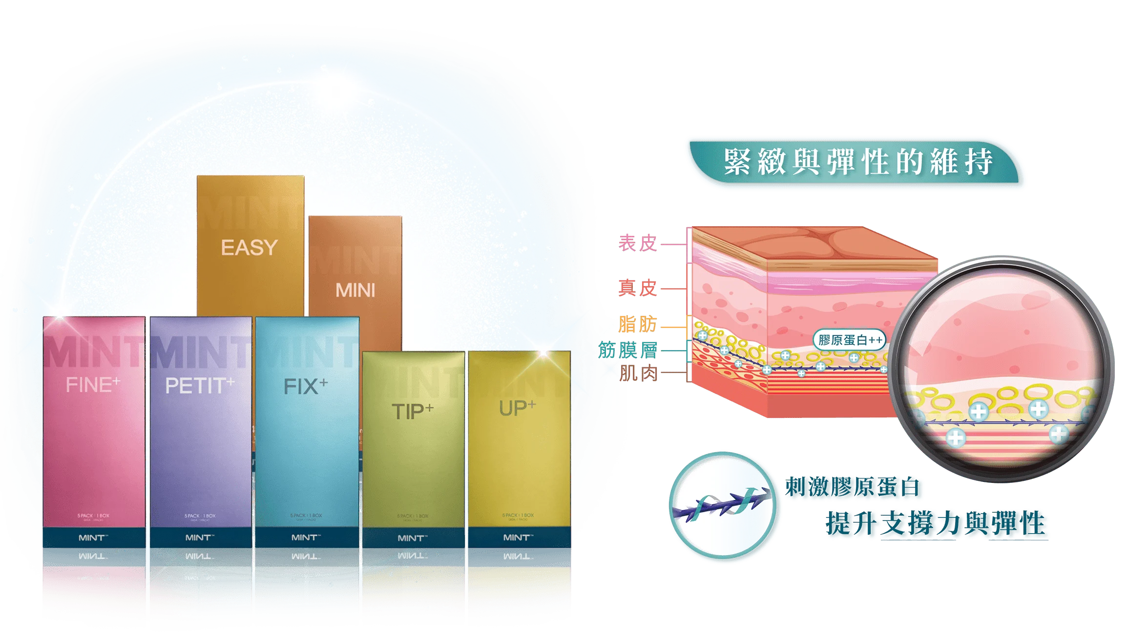 產品分頁 肌膚層 W 產品分頁 肌膚層 W